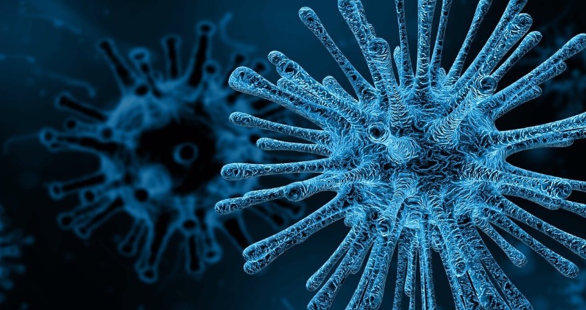 PROBIOTICI E PREBIOTICI PROBIOTICI E PREBIOTICI