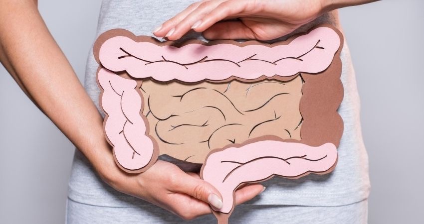 Come influisce il cibo che mangiamo sul nostro intestino