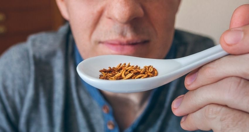 Entomofagia: che cos’è ed importanza nutrizionale Entomofagia: che cos’è ed importanza nutrizionale